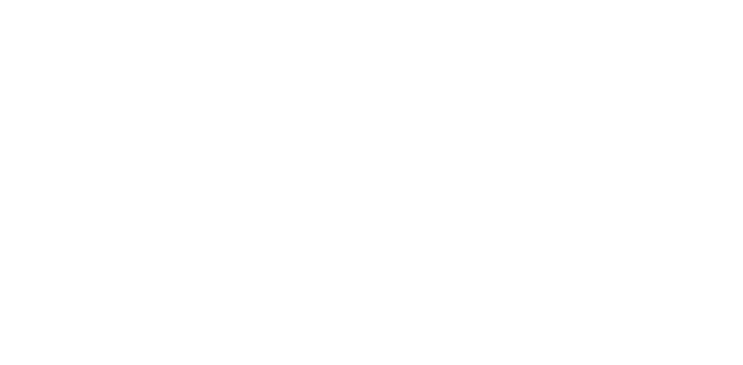 Havaianas